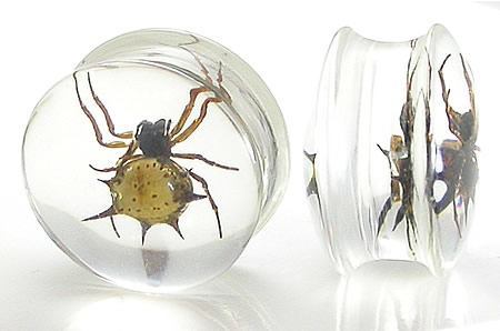 Spider - Real Spider inside Acrylic Plug - 16mm-24mm - Price Per 1Spider - Real Spider inside Acrylic Plug - 16mm-24mm - Price Per 1