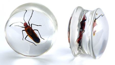 Red Bug or Pyrrhocorid inside an Acrylic Plug for Gauged Ears - 16mm - 24mm - Price Per 1Red Bug or Pyrrhocorid inside an Acrylic Plug for Gauged Ears - 16mm - 24mm - Price Per 1